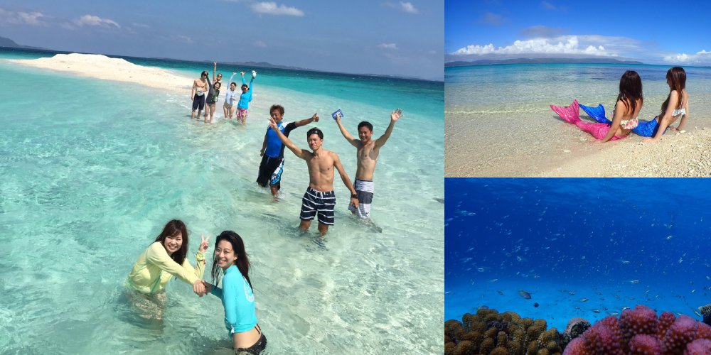 浜島コース